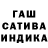 Конопля гибрид Janysh Aydarov