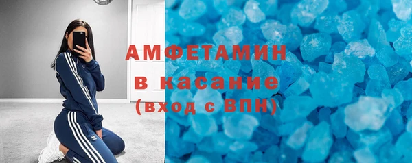 прущие грибы Беломорск
