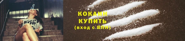 дживик Белокуриха