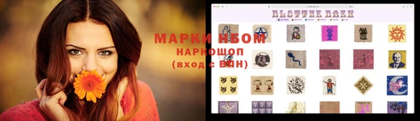 прущие грибы Беломорск