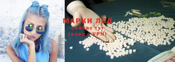 дживик Белокуриха