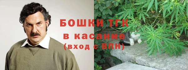 дживик Белокуриха
