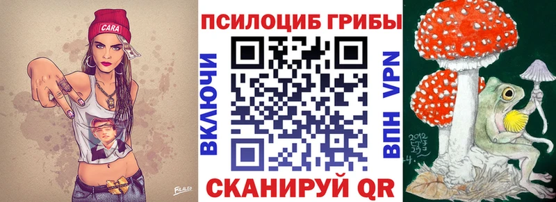 Галлюциногенные грибы GOLDEN TEACHER  купить  цена  Горячеводский 
